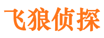 雁江市侦探调查公司